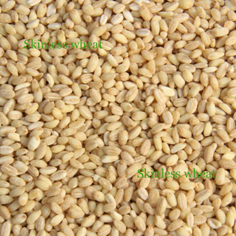wheat peeling.jpg
